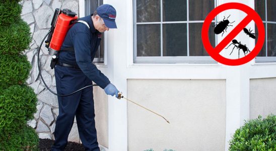 Kurşunlu Dezenfeksiyon böcek ilaçlama ve haşere kontrolü — ilaclama-tr.com